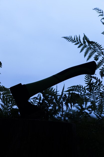 Silhouette of an ax with ferns while hiking Selective focus Blured photo