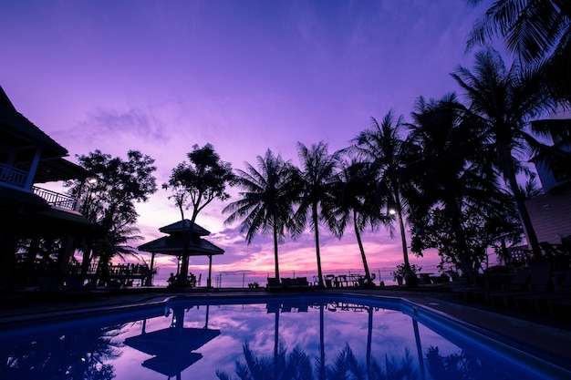 silhouette beach coconut tree on twilight sunrise morning sky