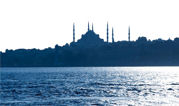 Silhouette of a beautiful mosque against the white background