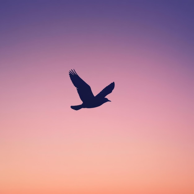 Photo silhouette of a bird flying against a vibrant purple and orange sky