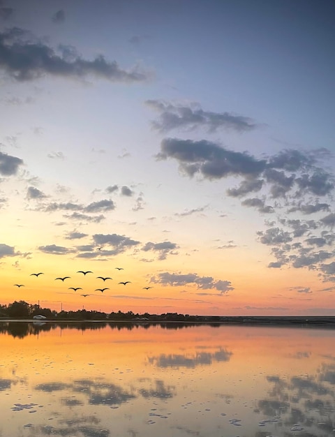 A silhouette of birds flying southbound in the sky