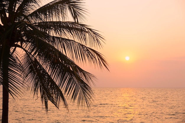 Silhouette coconut palm tree on sea and sunset sky background