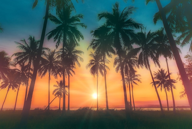 Silhouette coconut palm trees on beach at sunset. Vintage tone.