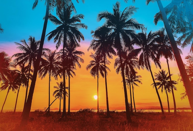 Silhouette coconut palm trees on beach at sunset Vintage tone