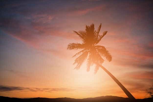 Silhouette coconut palm trees on beach at sunset. Vintage tone.