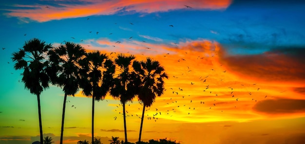 Silhouette coconut palm trees and birds on beach at sunset. Vintage tone.