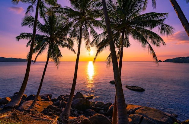 Silhouette coconut palm trees at sunset or sunrise sky over sea Amazing light nature colorful landscape Beautiful light nature sky and clouds