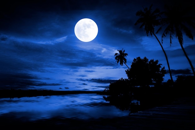 Silhouette of coconut tree river and moonlight