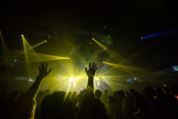 Silhouette Concert People in Crowd with hands up at a Music Festival