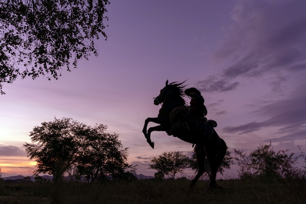 Silhouette the cowboy riding on a mountain with an yellow sky