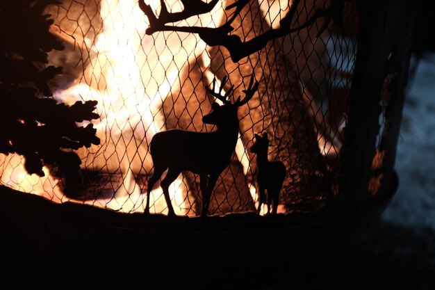 Silhouette of a deer with a fawn on a barbecue with a burning fire. High quality photo