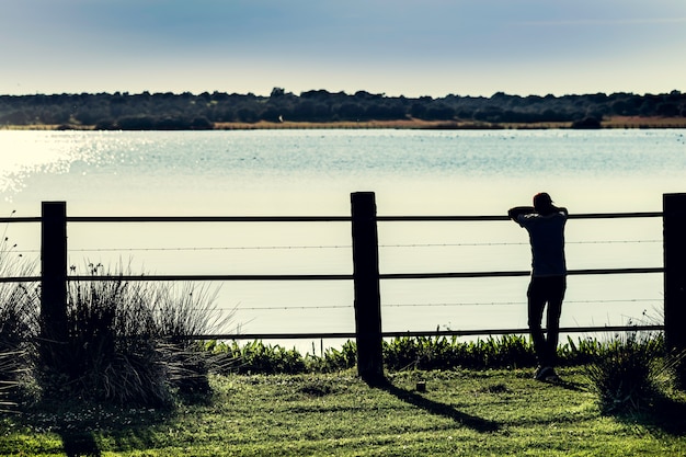 Silhouette guy standing in the marshes 