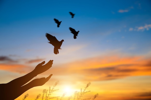 Silhouette hand praying group of bird flying to the sky freedom and nature at sunset background with sunlight