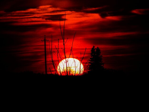 Photo silhouette landscape at sunset