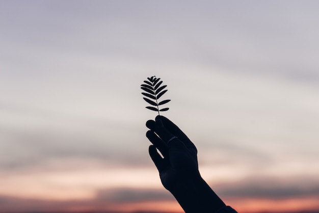 Silhouette of leaflet in hand against blue sky