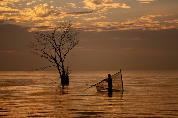 Silhouette of local fisherman finding shrimp by using traditional nets at sunrise.