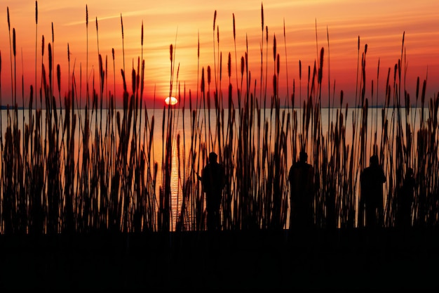 Silhouette of a man standing on the pier at sunset