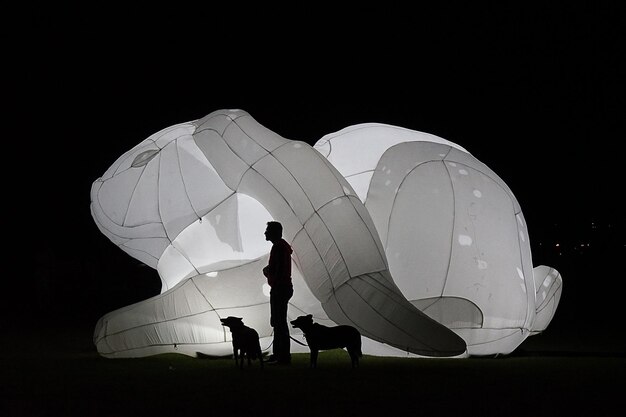 Silhouette man standing with dogs against large inflatable rabbit