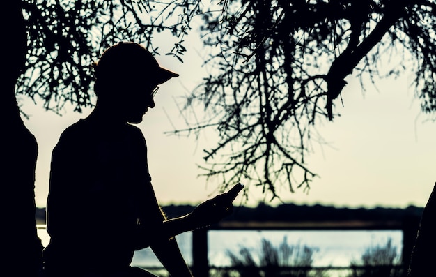 Silhouette man using smartphone with dead tree