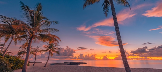 Silhouette palm trees. Beautiful nature sunset on tropical sea beach background for travel holiday