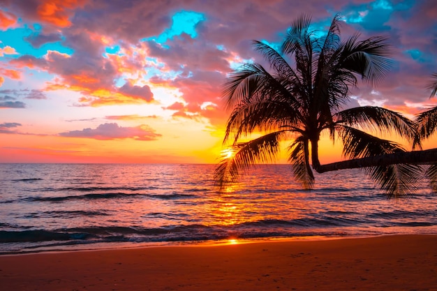 Silhouette of palm trees Beautiful sunset on the tropical sea beach background for travel in holiday relax time