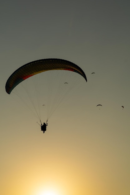 Silhouette of a paraglider in the foreground flying in the sky at sunset with more paragliders in the background