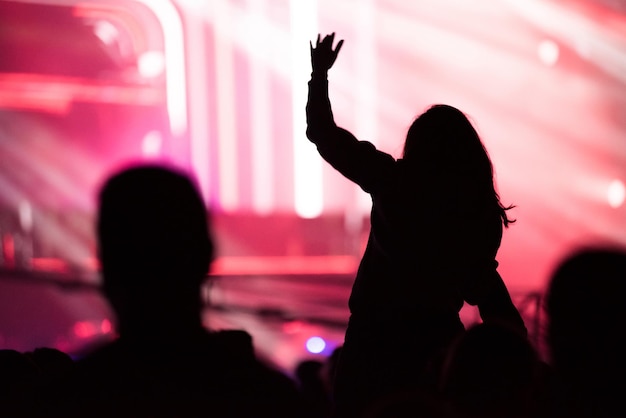 Silhouette of people at music concert