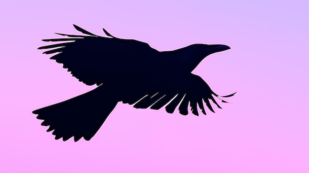 Photo silhouette of a raven in flight against a pink and purple gradient sky