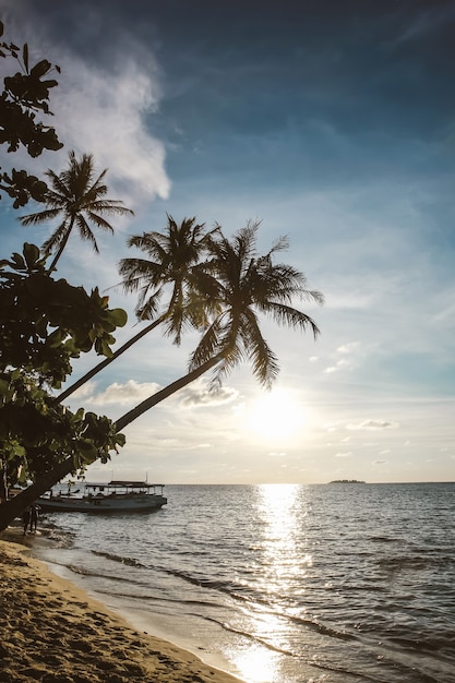 Silhouette and reflection of sun at the sea with coconut trees on beautiful beach at Karimun Jawa