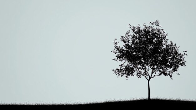 Photo silhouette of a single tree against a plain background