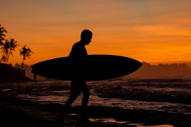 Silhouette Of A Surfer Carrying His Surfboard WIth Palm Tree