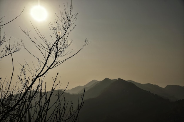 Silhouette of tree against sky during sunset