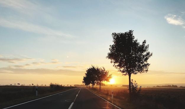 Photo silhouette tree by road against sky during sunset