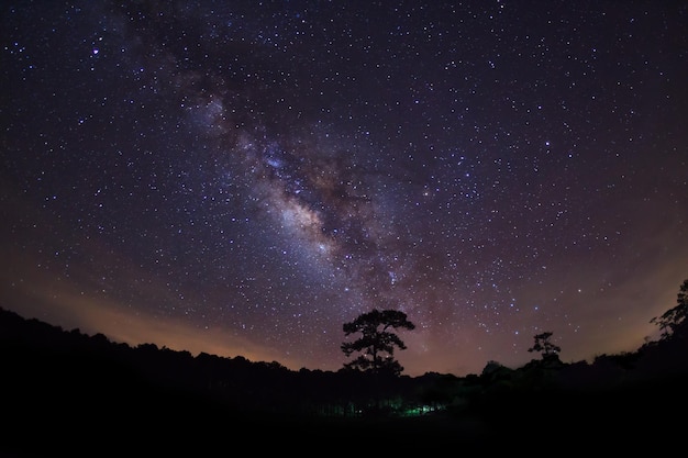 Silhouette of Tree and Milky Way with cloud Long exposure photograph