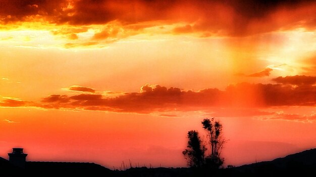 Photo silhouette of trees at sunset