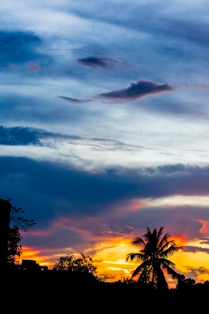 Silhouette of an urban city tree and beautiful cloud formation at sunset