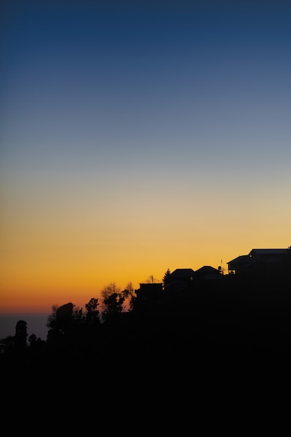 Silhouette view of the forest against the background of the night sky