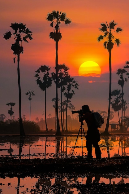 Silhouette of a woman photographer in a palm tree garden at sunrise