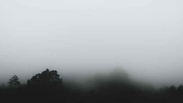 Photo silhouetted trees shrouded in thick fog creating an ethereal atmosphere