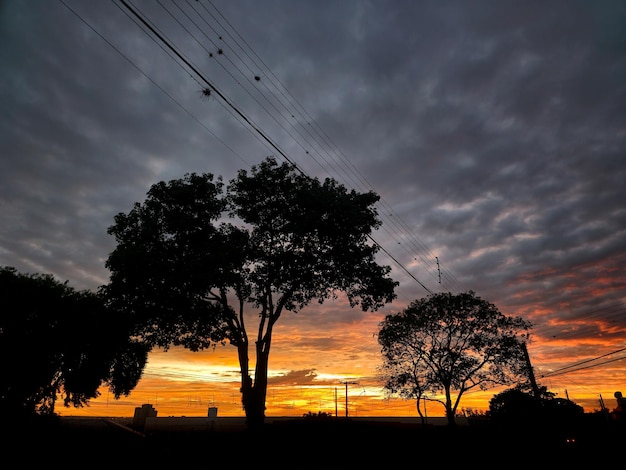 Silhouettes beautiful sunset forming beautiful silhouettes in a city in Brazil selective focus