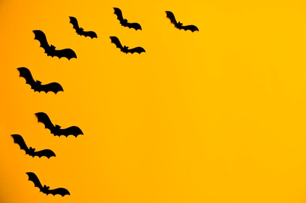 Silhouettes of black bats made of paper on orange background. Halloween concept