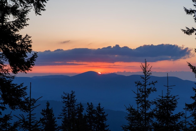 Silhouettes of fir trees in the mountainous valley of the Rhodope Mountains against the background of a sunset sky