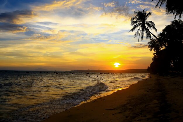 Silhouettes of palm trees