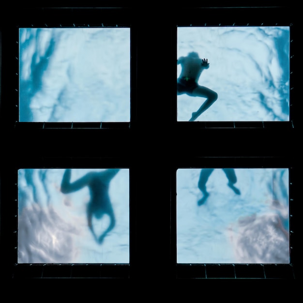 silhouettes of people swimming in the swimming pool, sport and recreation