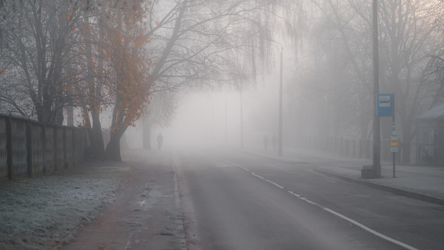 Silhouettes of people walking and driving a bicycle on the city road sidewalk