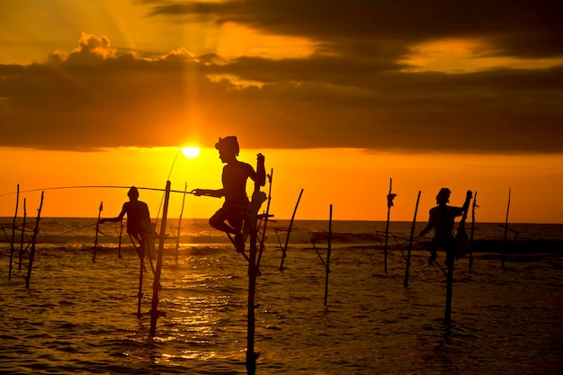 Silhouettes of the traditional fishermen at the sunset in Sri Lanka