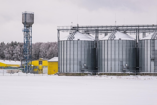 Silos and agroprocessing plant for processing for drying cleaning and storage and seed preparation complex in snow of winter field