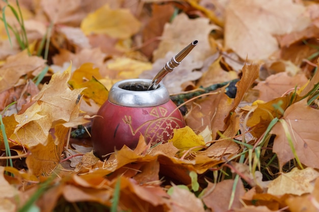 Silver calabash among autumn leaves