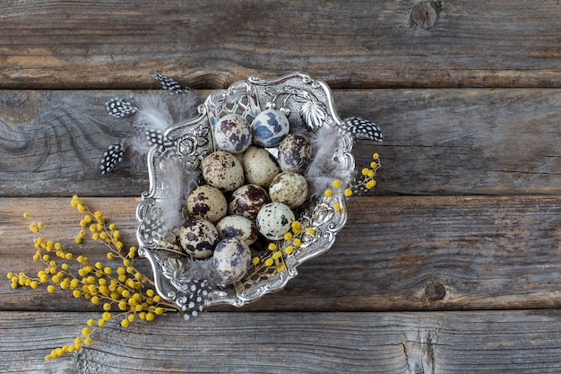 silver plate with quail eggs, feathers and mimosa on wooden background - easter background