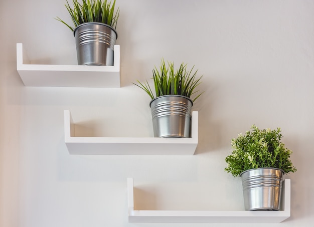 Silver potted plants on white wall